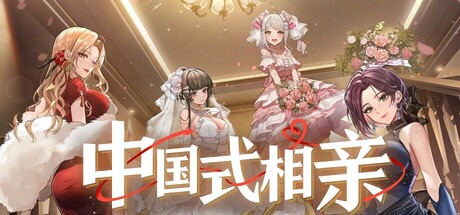 中国式相亲/Matchmaking Inc.中文版下载