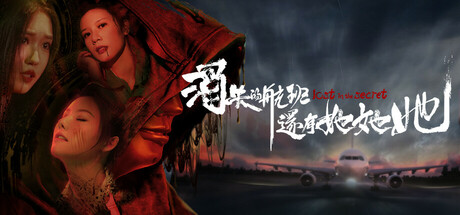 消失的航班，还有她她她！/Lost in the secret!中文版下载